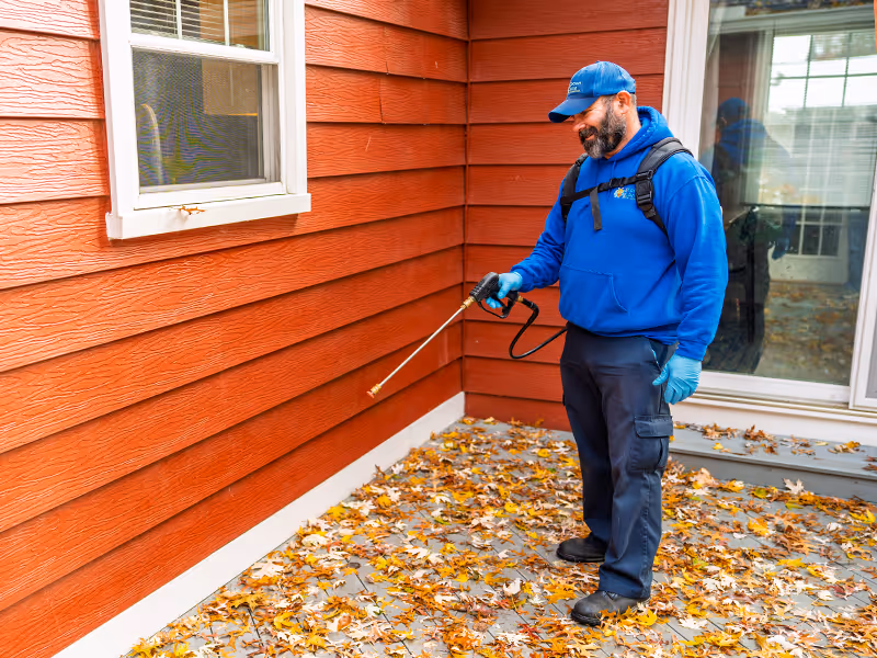 treating an ohio home for pests