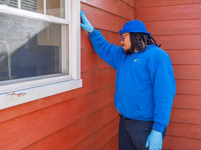 inspecting an ohio home for termites
