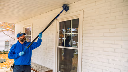 treating an ohio home for spiders