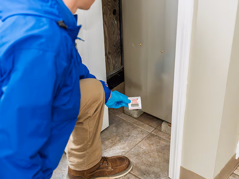 commercial pest control treatments
