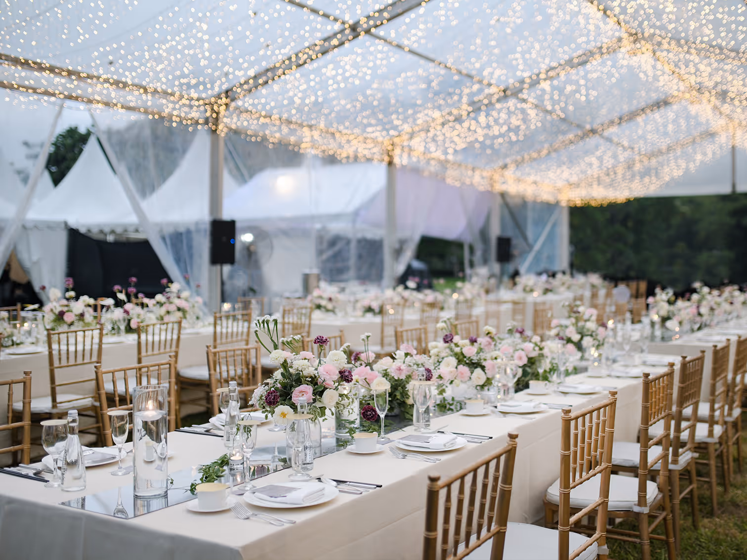 outdoor wedding treated for mosquitoes by epcon lane