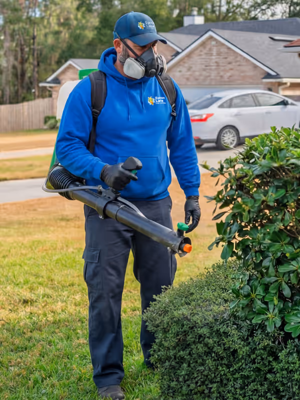 treating a yard in ohio for mosquitoes and ticks