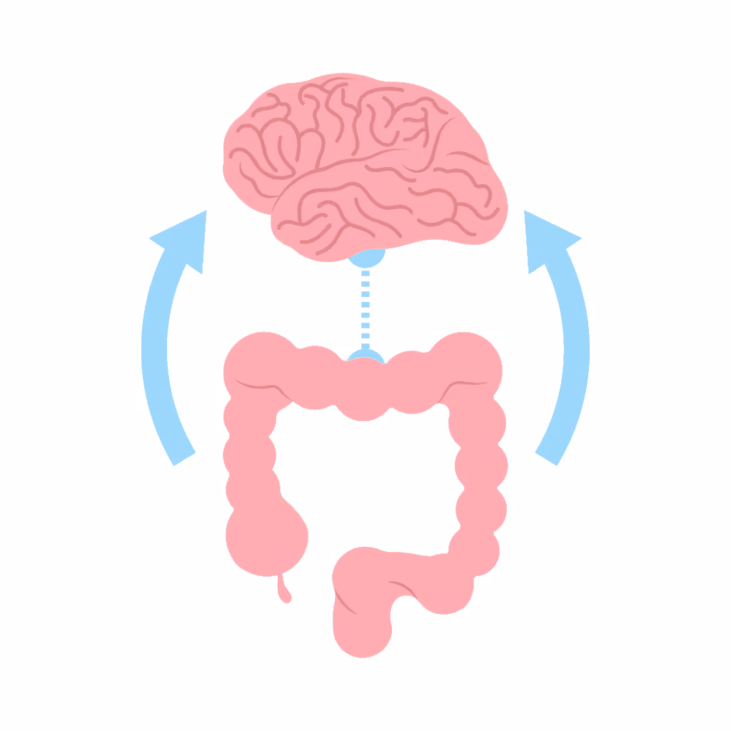 Gut Brain Connection