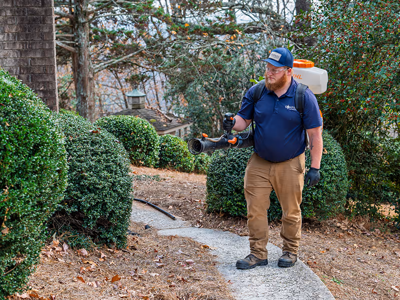 mosquito control services in georgia