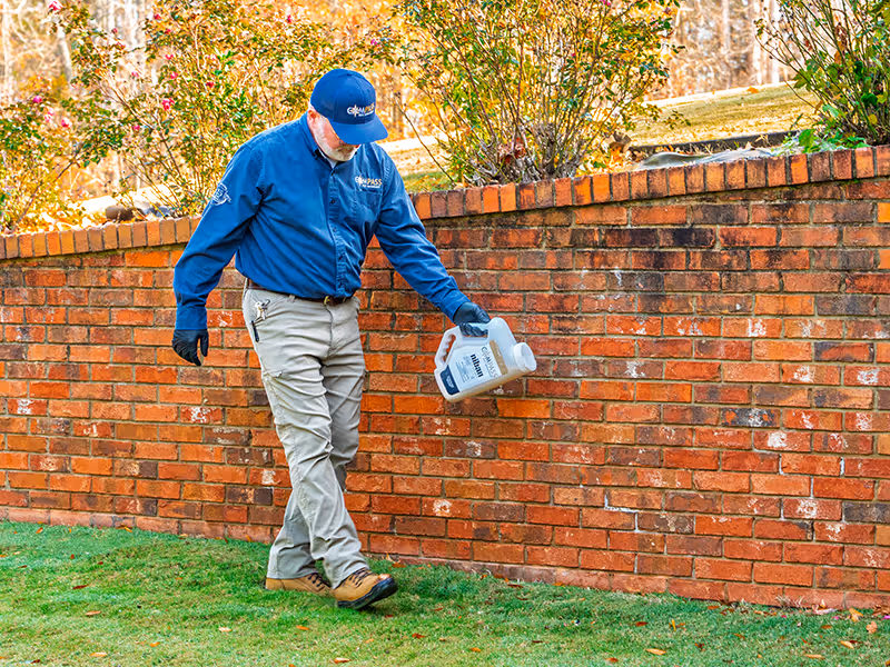 ga pest control tech treating for fire ants