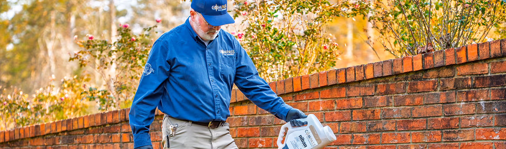 fire ant control service in ga