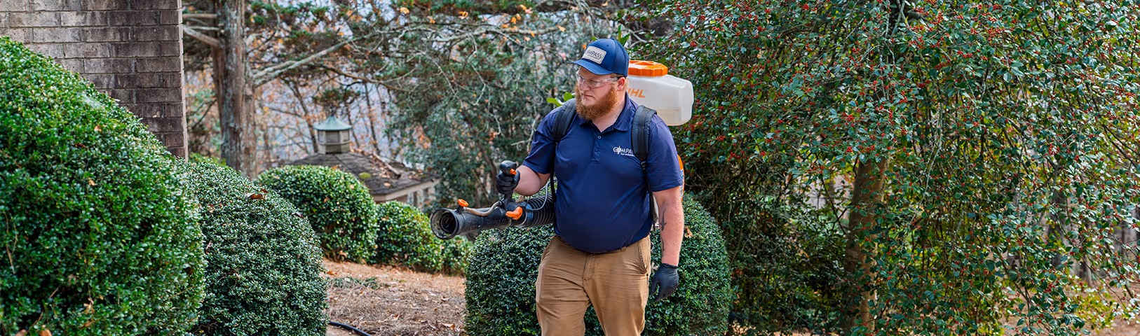 mosquito control services in ga