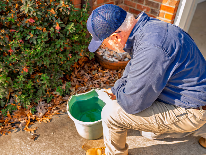 inspecting mosquito breeding sites