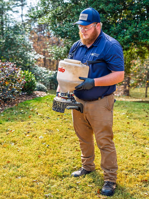 treating for fleas and ticks in a georgia yard