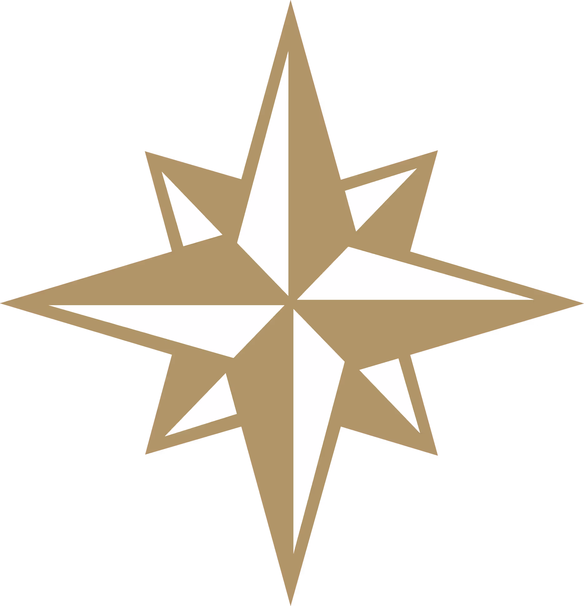 compass icon