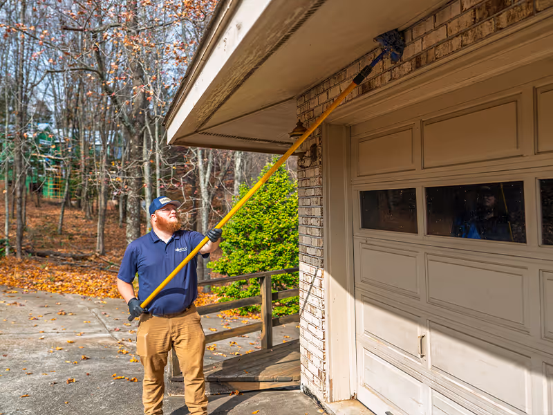 sweeping a south carolina home for pests