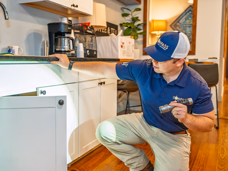 inpsecting a georgia business for pests