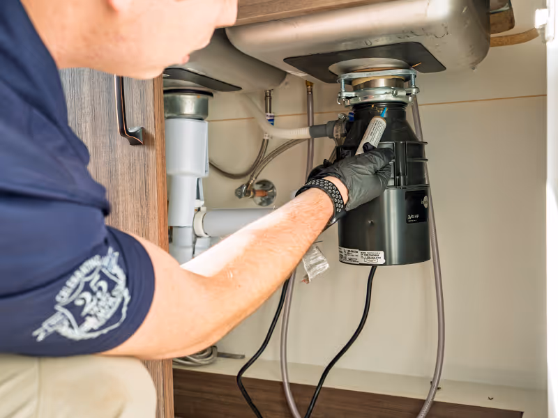 treating a business for pests