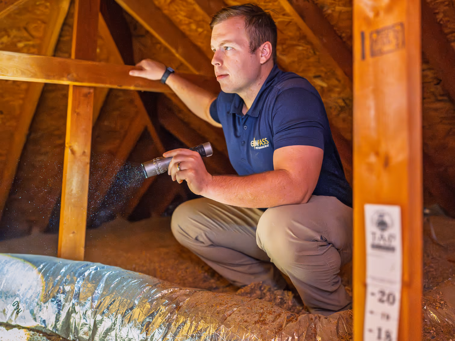 tap insulation in a georgia attic