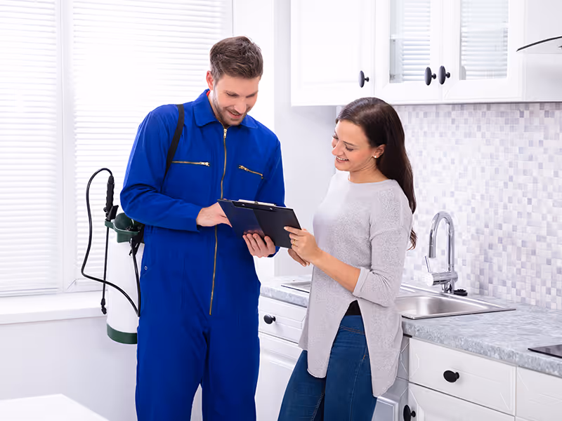 pest inspection in home