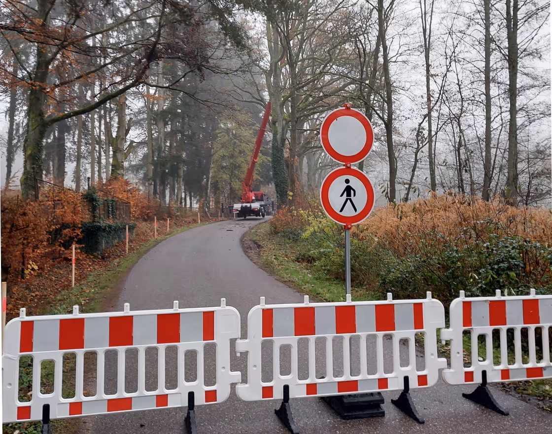 Straßensperrung und Verkehrssicherung während Baumpflegearbeiten