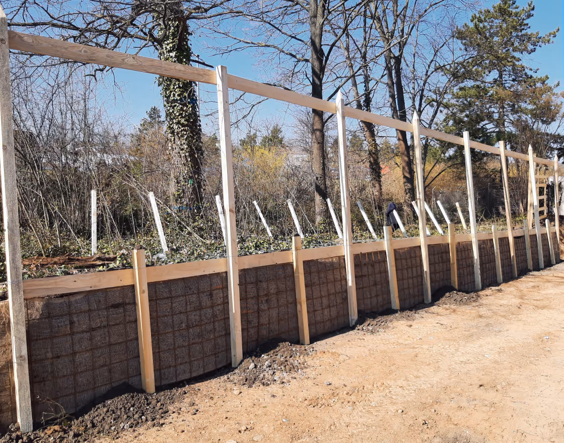 Baubegleitung durch ein Baumpflegeunternehmen