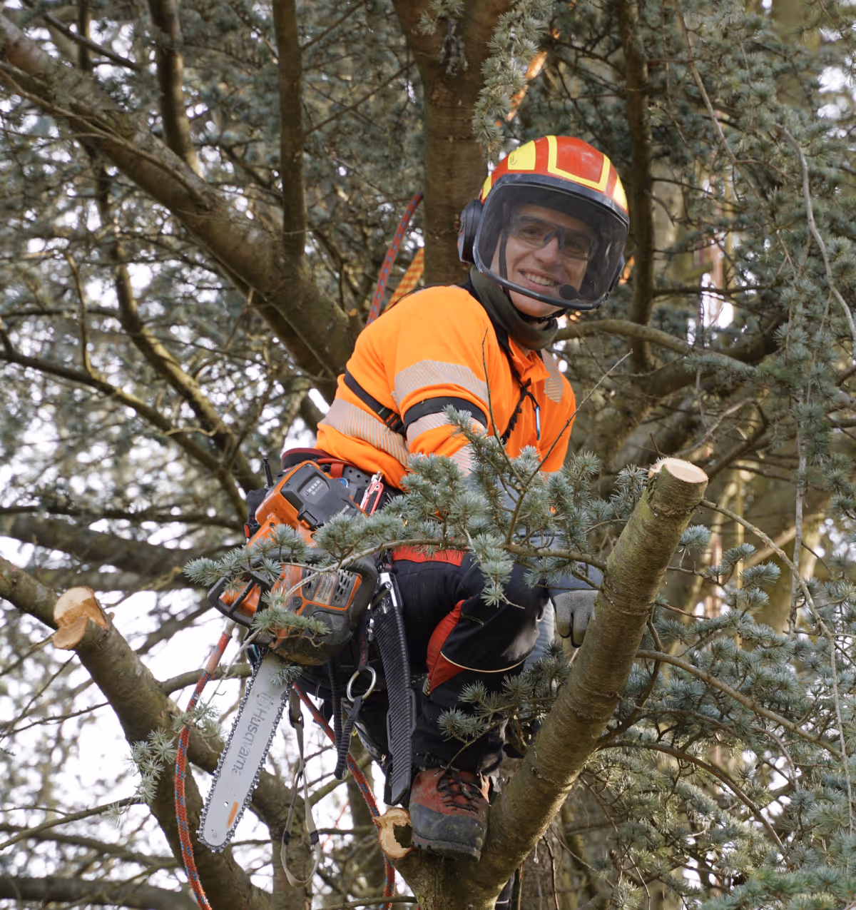 Thomas Wolfrath, Regensburger Baumpflege GmbH