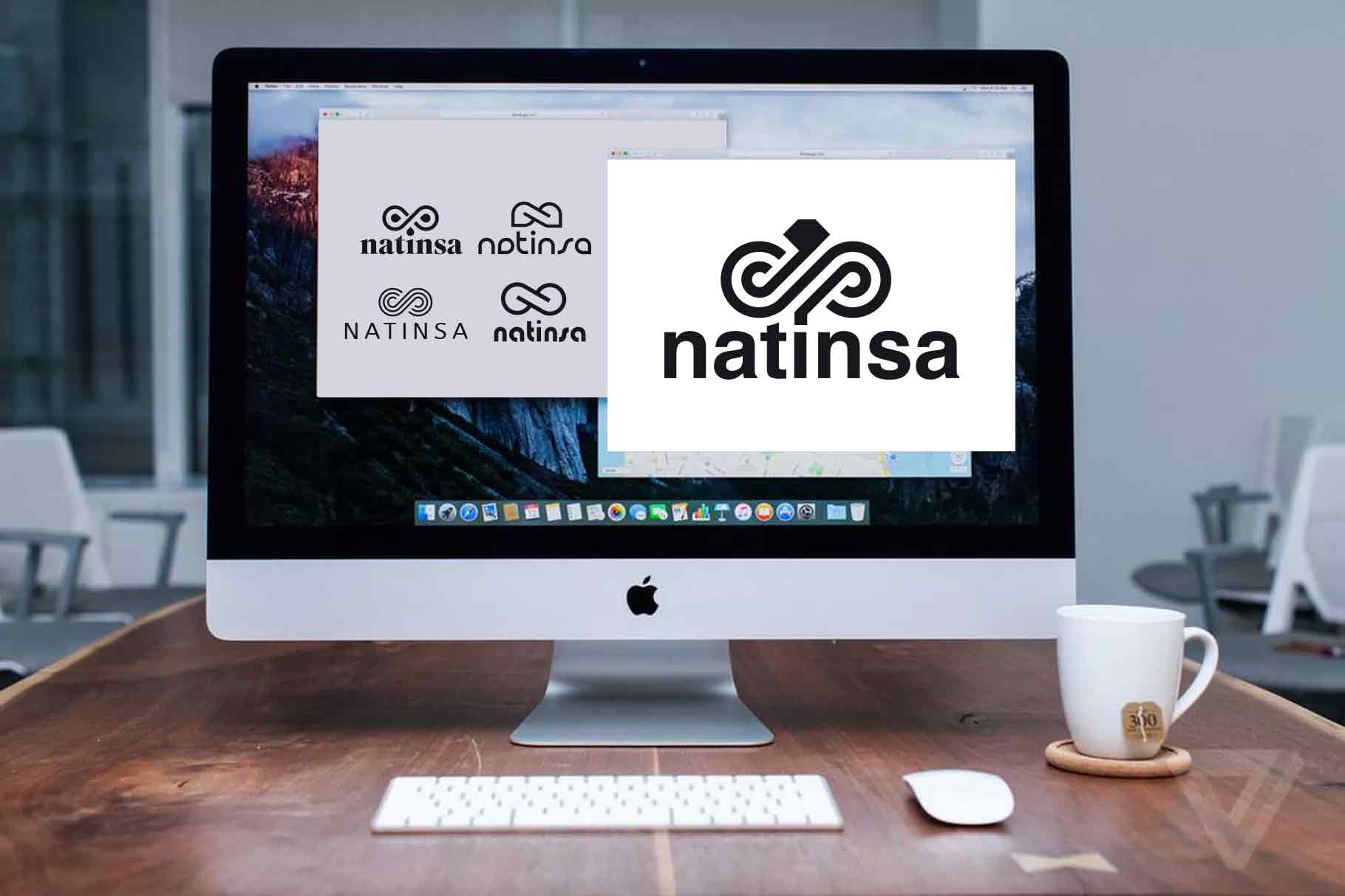 Recherche logo Natinsa piste 3 par My Albert Marketing à Genève