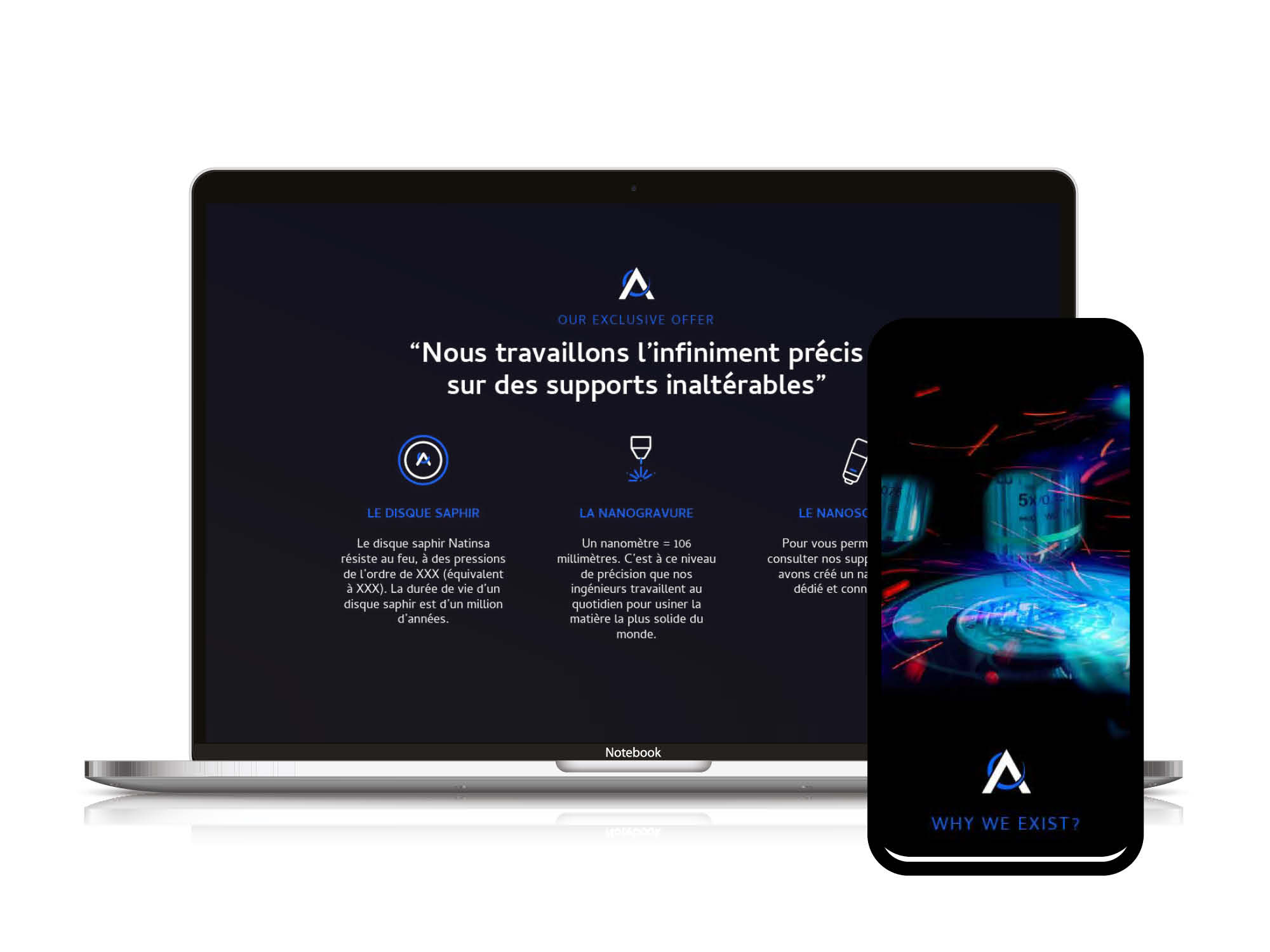 Site web ecommerce Natinsa vue 2