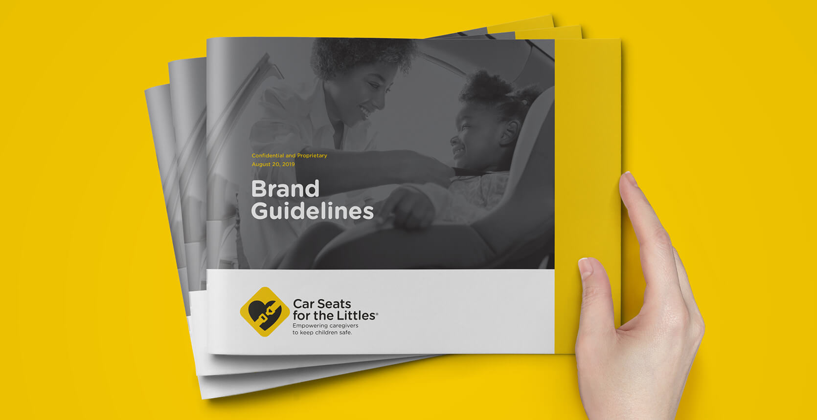 Car Seats for the Littles brochures