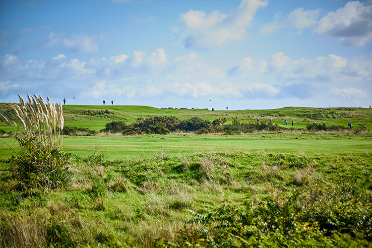 Great views of the coastline