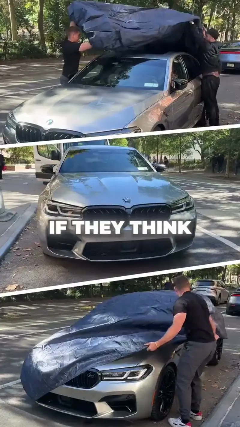 Sealskin street interview