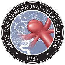 Logo of the AANS CNS Cerebrovascular Section featuring a red blood vessel over a brain's blood vessel network, with the year 1981 below.