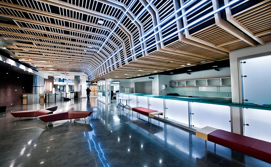Modern interior space with angular wooden ceiling beams, polished concrete floor, illuminated white counters, and maroon seating benches.