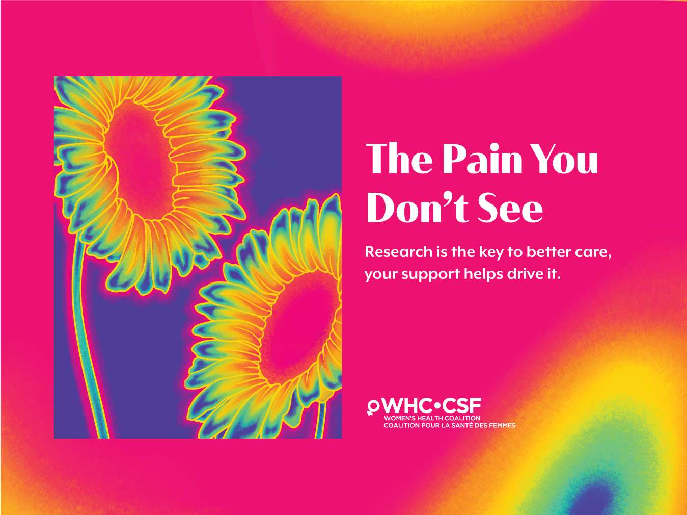 Thermal image of two sunflowers on purple background with text about pain research and Women's Health Coalition logo on pink background.