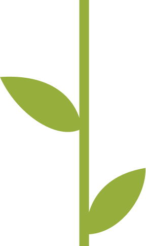 Green vertical stem with two leaves, one on each side, on a white background.