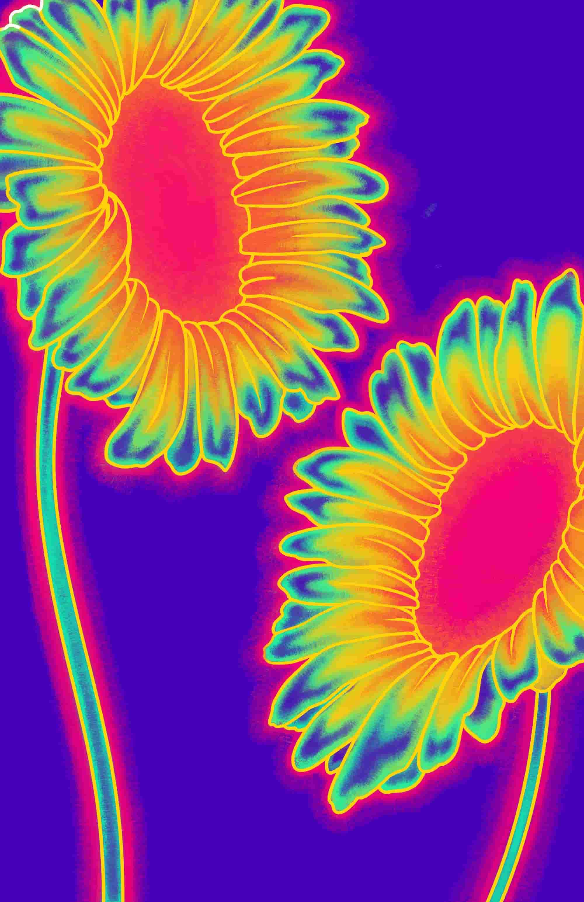 Thermal imaging of two sunflowers with vibrant colors including yellow, green, blue, pink, and purple.