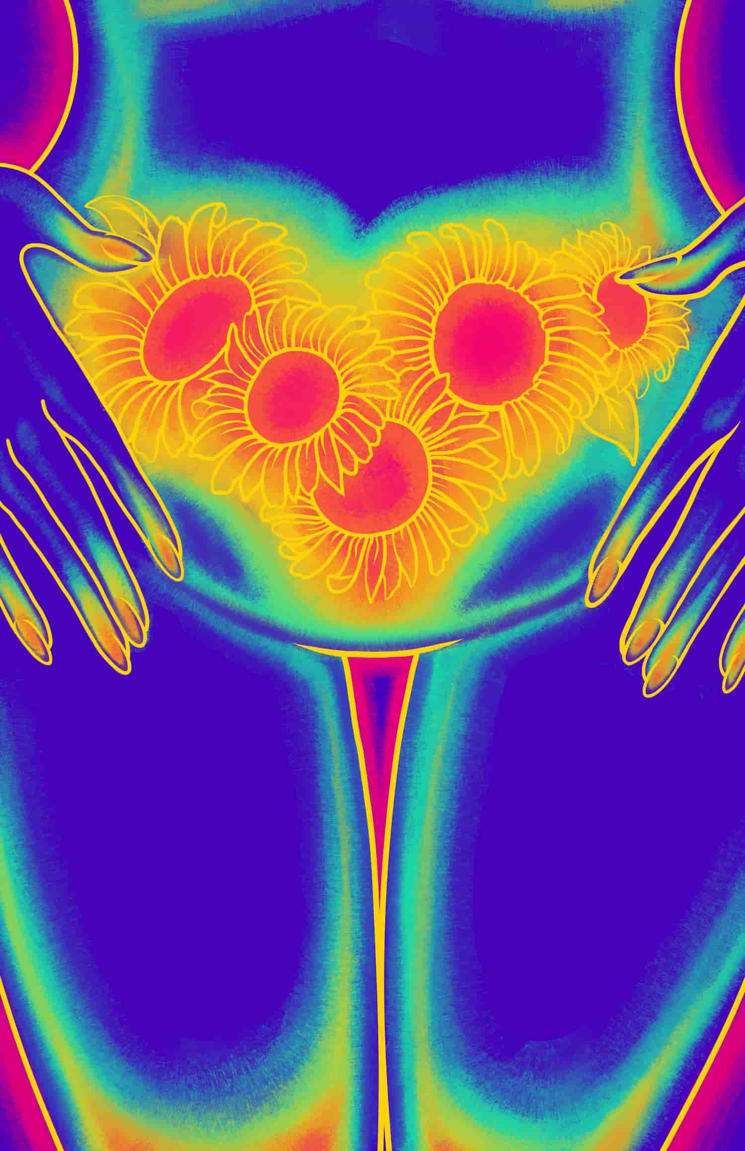 Thermal-style illustration of a lower torso with hands holding sunflowers arranged in a V shape on the abdomen.