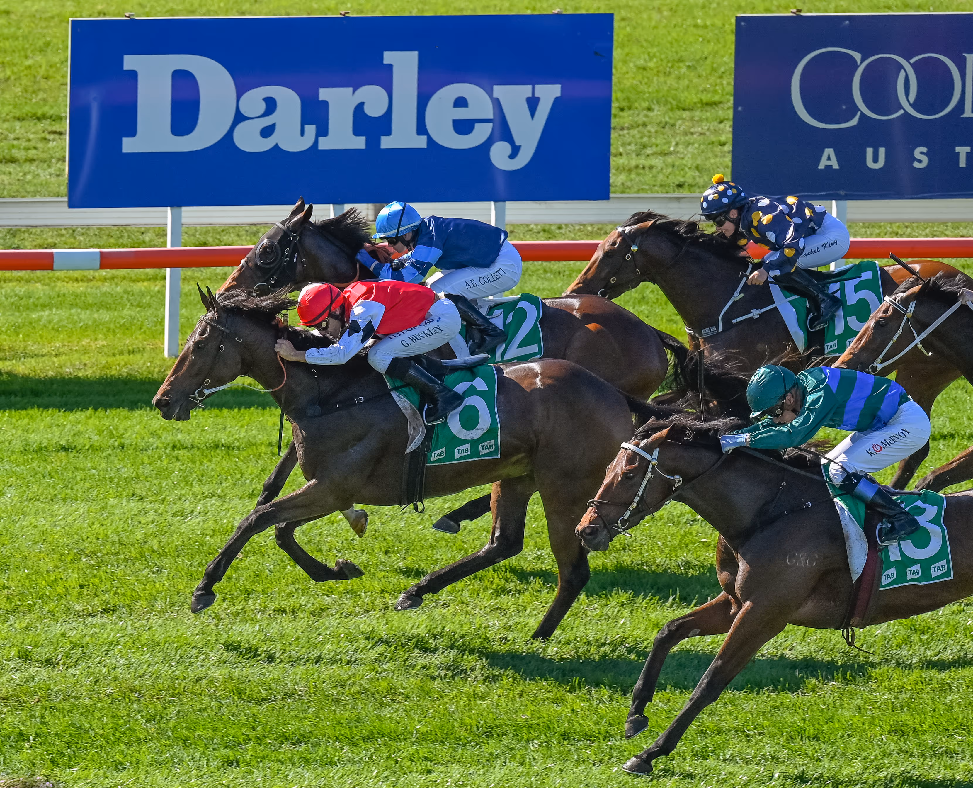 Four jockeys riding horses in a close race on a green grass track with blue advertising boards in the background.