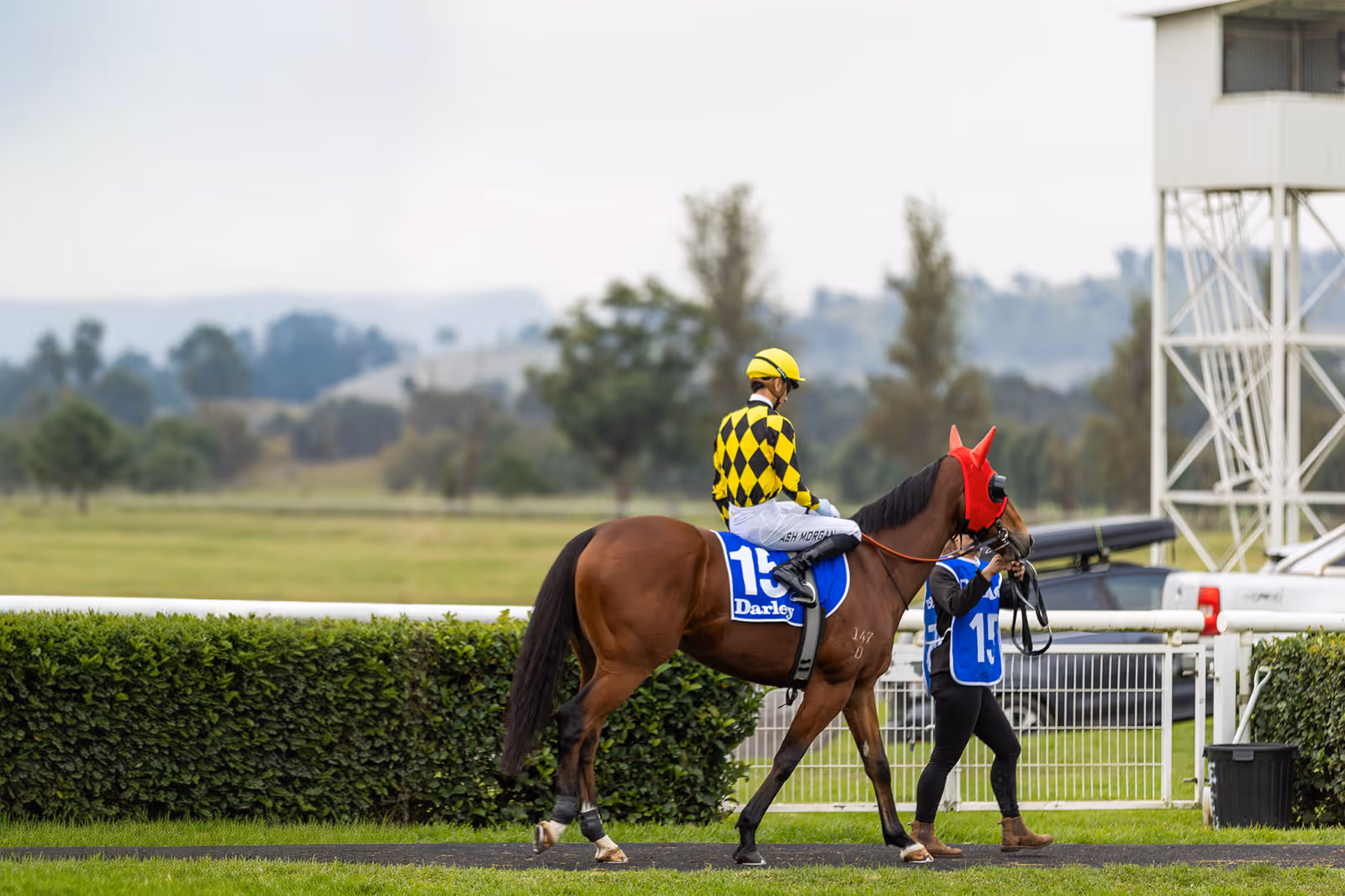 Jockey in yellow and black diamond-patterned silks riding horse with red face covering while being led by handler at racetrack.