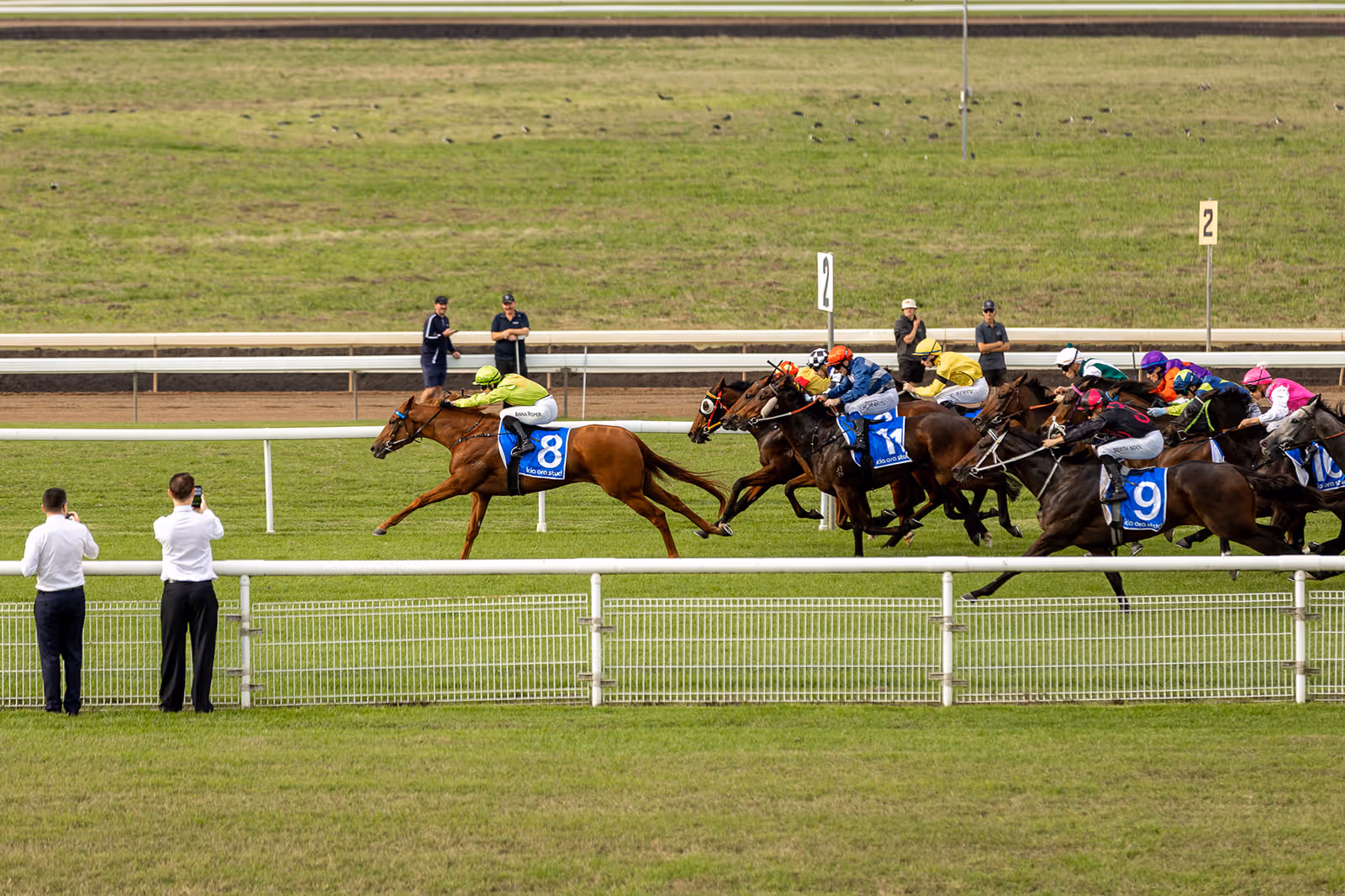 Horse race with jockey in green on horse number 8 leading a group of horses on a grassy race track.