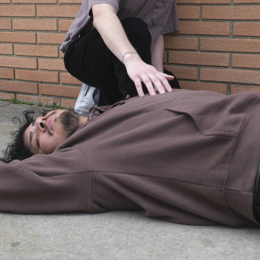 Man passed out on sidewalk, another person touching him