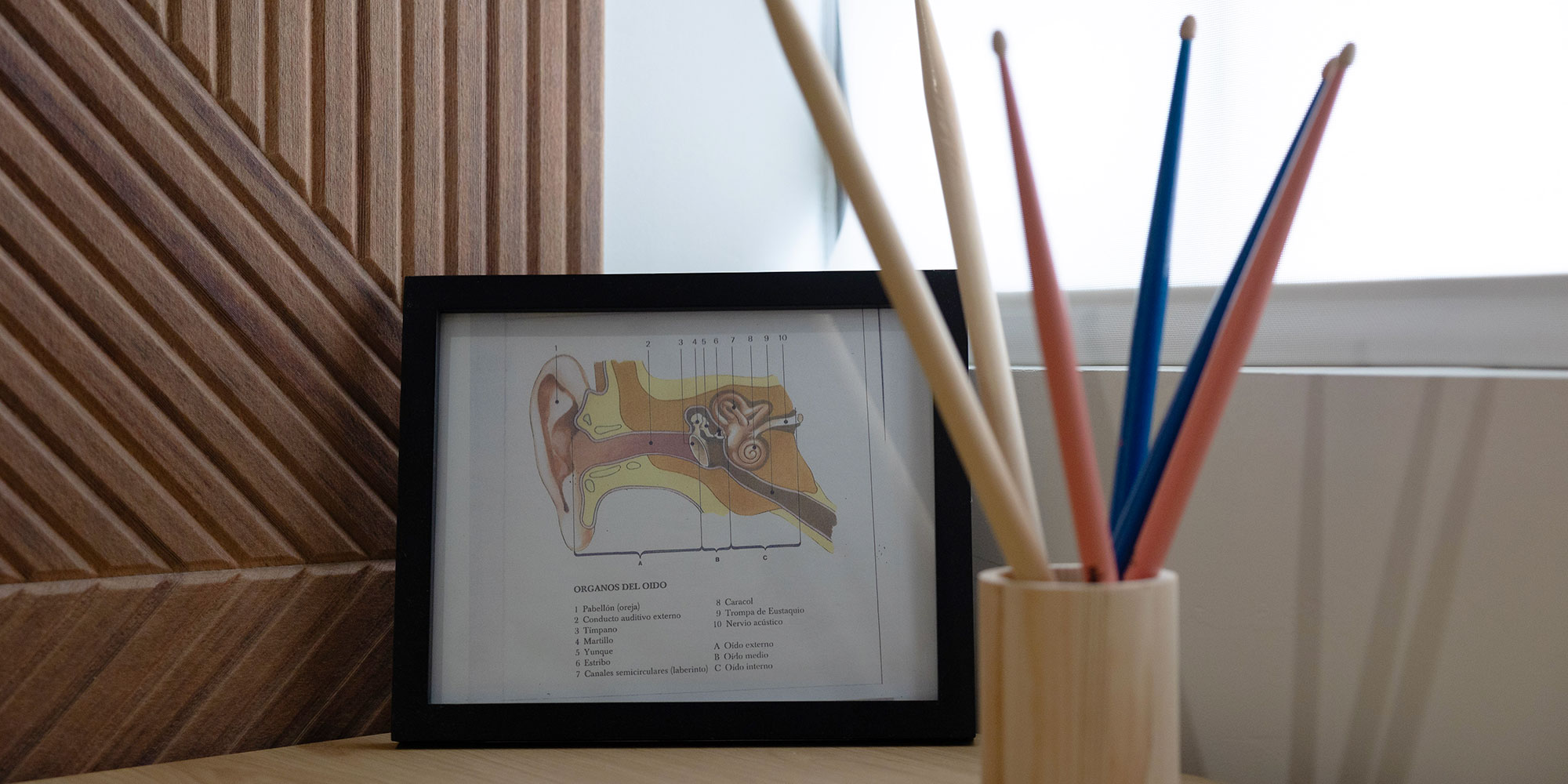 framed image of anatomical image of ear nose and throat