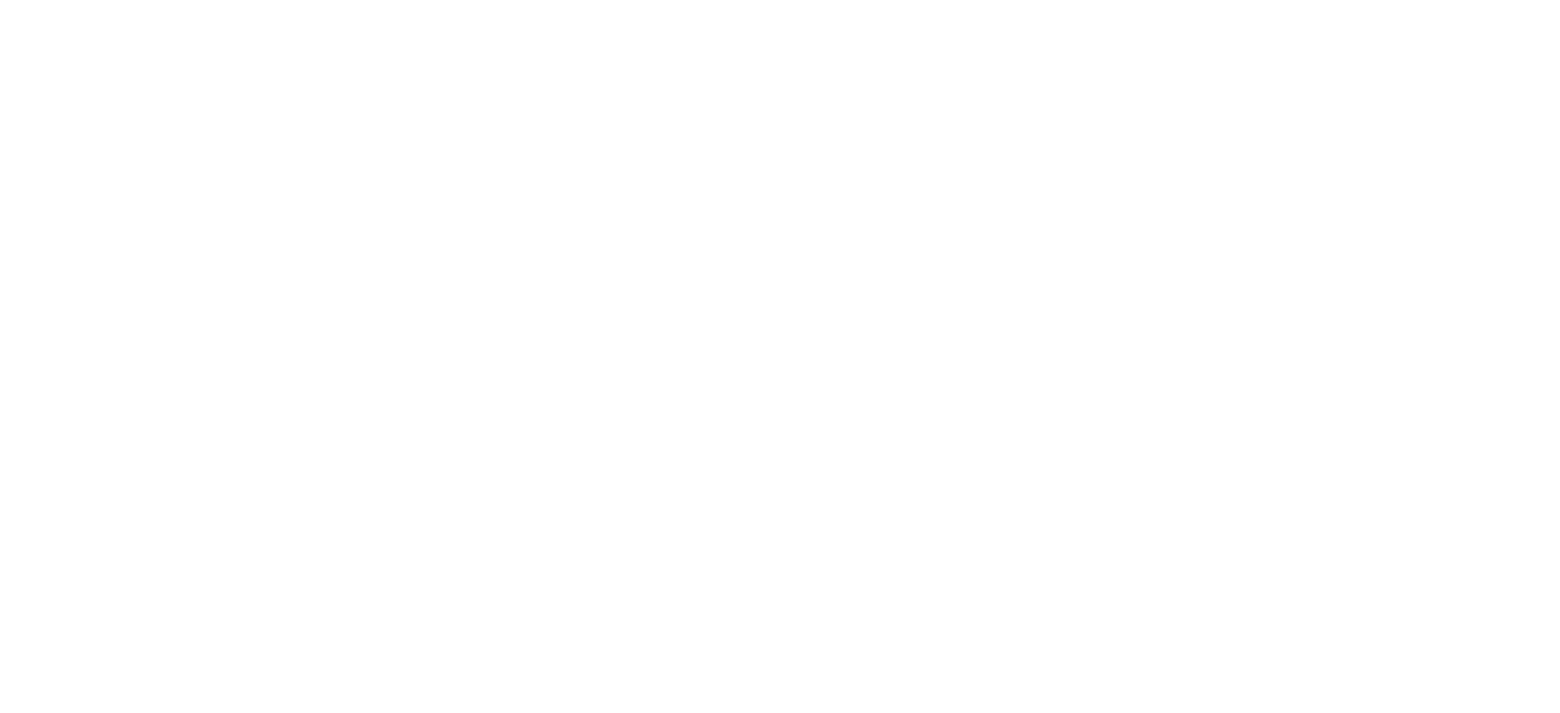SPACE TURTLES vector logo