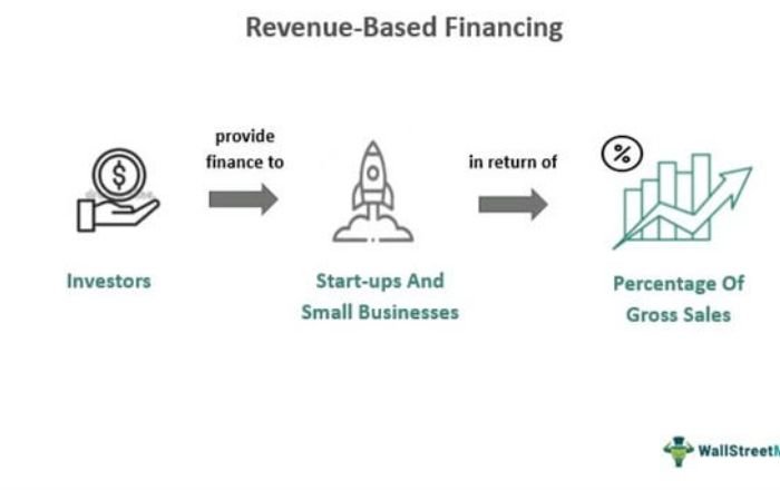 Revenue based financing
