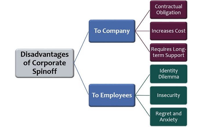 Potential Risks and Challenges