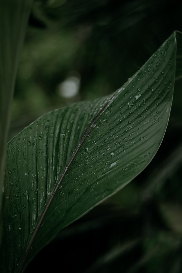 Moody tones