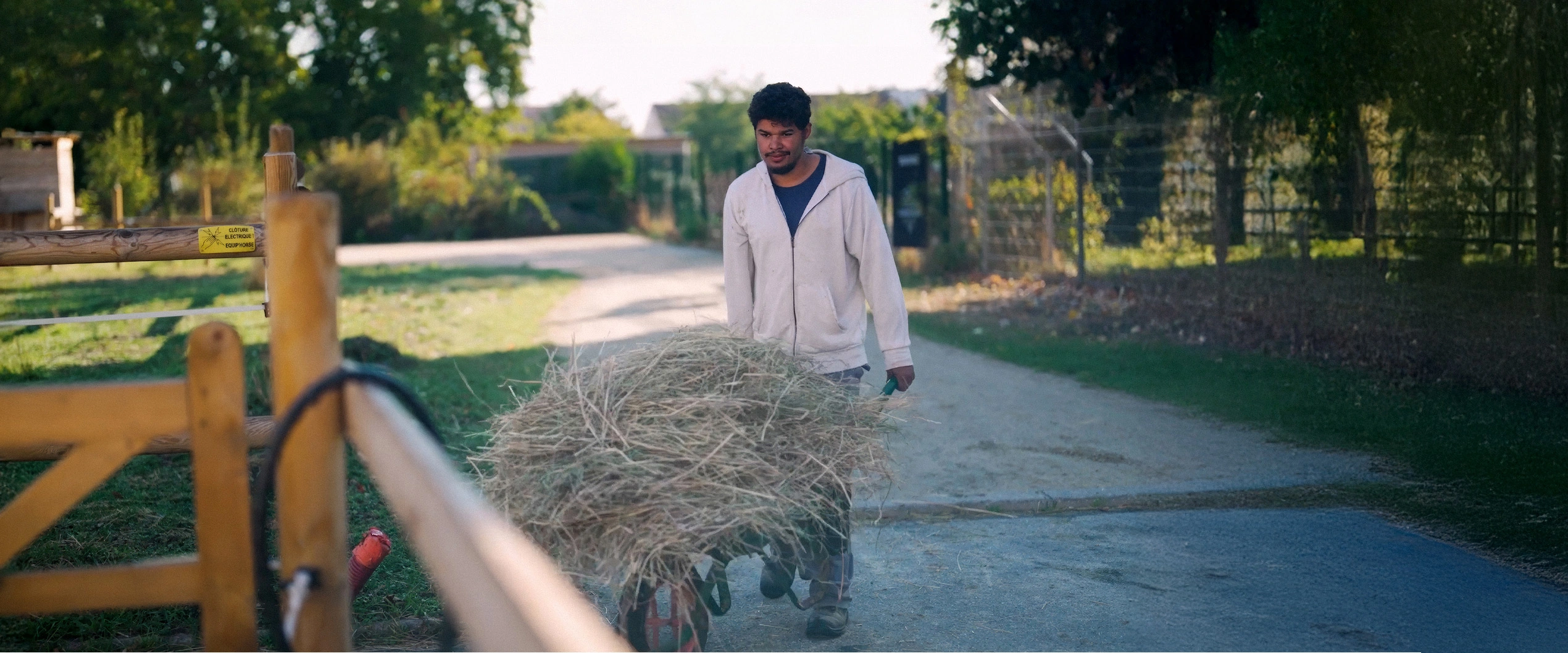 Entretien espace vert