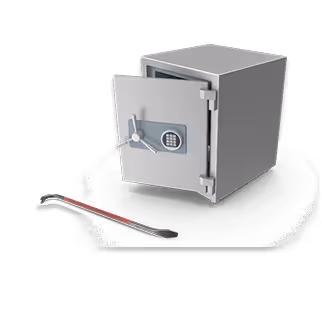 Theft / Property Crimes