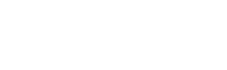 Logo de Dynamic Sevres blanc sur fond transparent