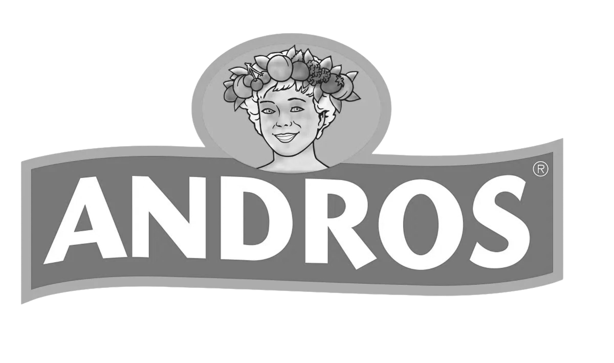 Andros logo