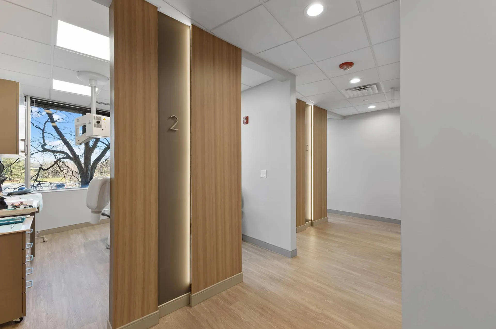 Modern dental clinic hallway with wood panel doors numbered 2 and 3, light wood flooring, and dental equipment visible through a window.