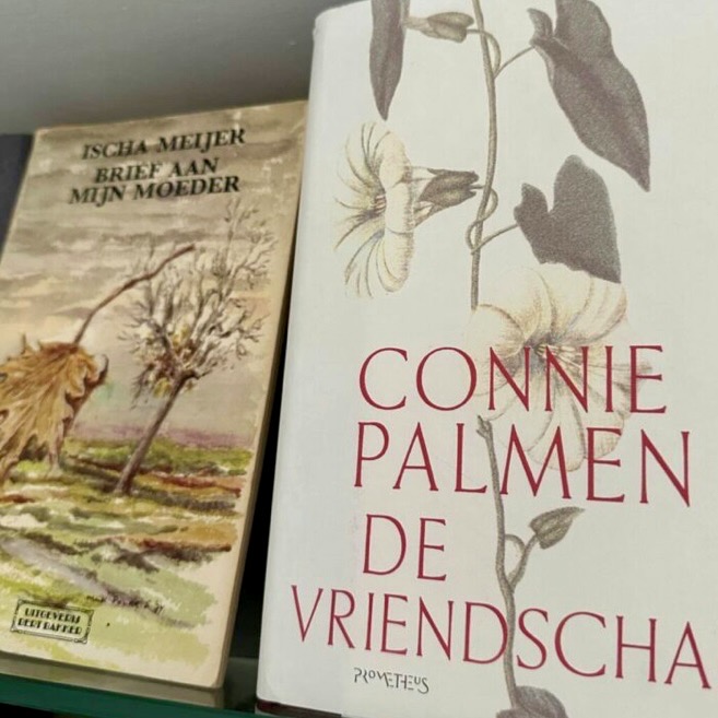 Het boek brieven aan mijn moeder van Ischa Meijer en het boek de vriendschap van Connie Palmen
