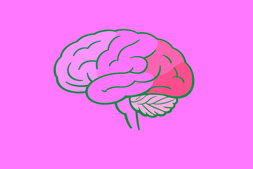 Schematische weergave van de hersenen met de belangrijkste hersengebieden betrokken bij cognitie en gedrag