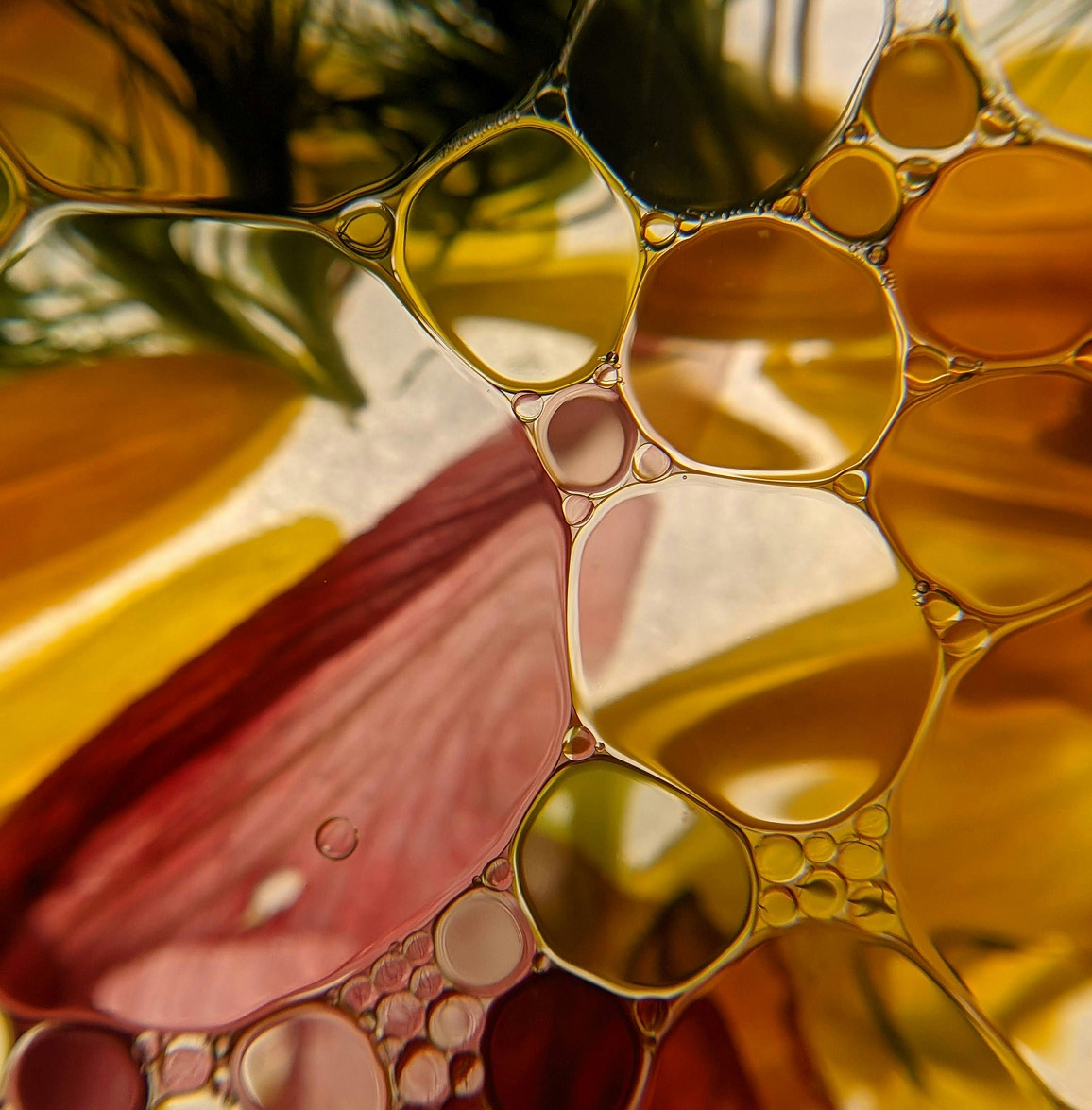 Makrofotografi av olje- og vannbobler som svever over gule og rosa blomsterblad.